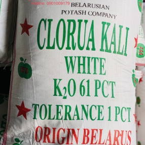 POTASSIUM CHLORIDE (KALI BELARUS)